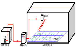 臭氧應(yīng)用于無土栽培消毒除藻