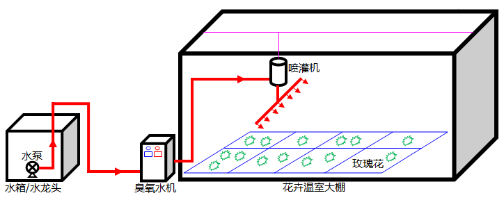 圖片5